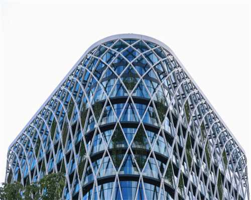 【壁挂炉故障代码0.08mpa】菲斯曼Viessmann壁挂炉维修指南